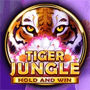 Hoàn trả thể thao we1win